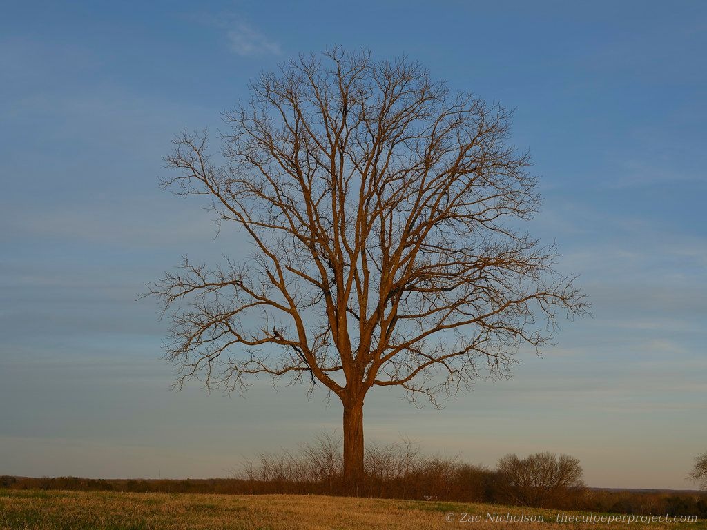 Brandy Station battlefield, 2026